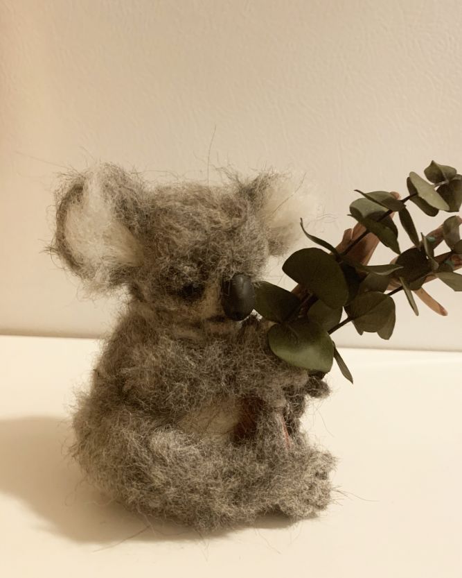 koala.jpg