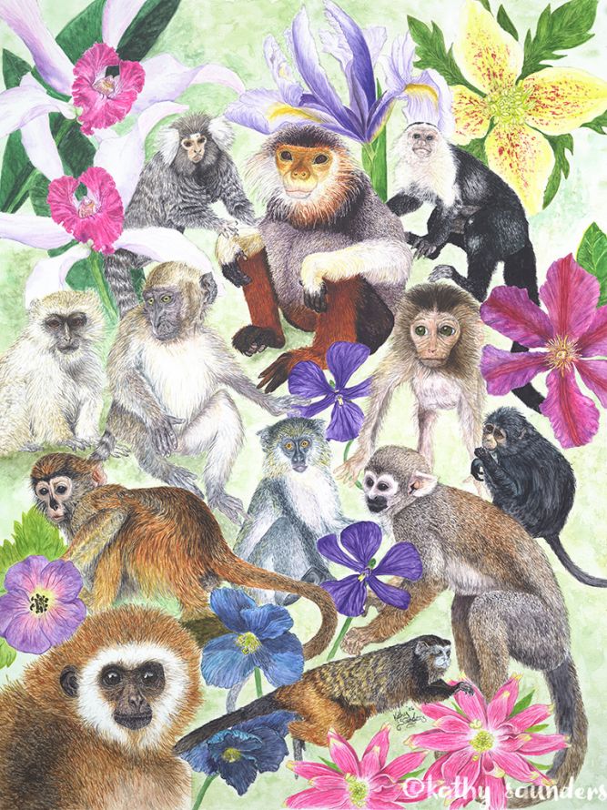 Monkeys