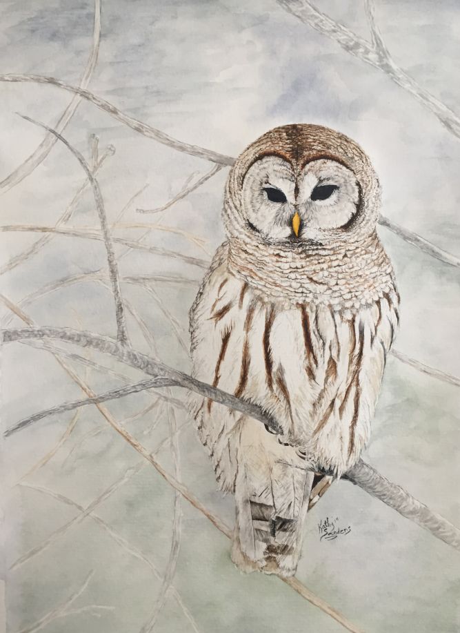 owl.k.jpg