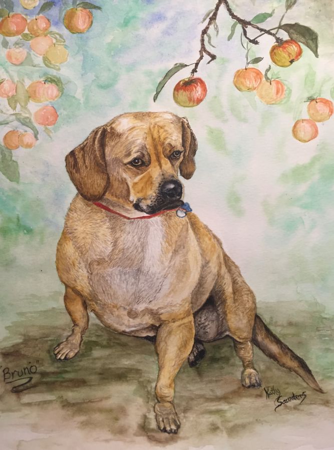 pet-portait3.jpg