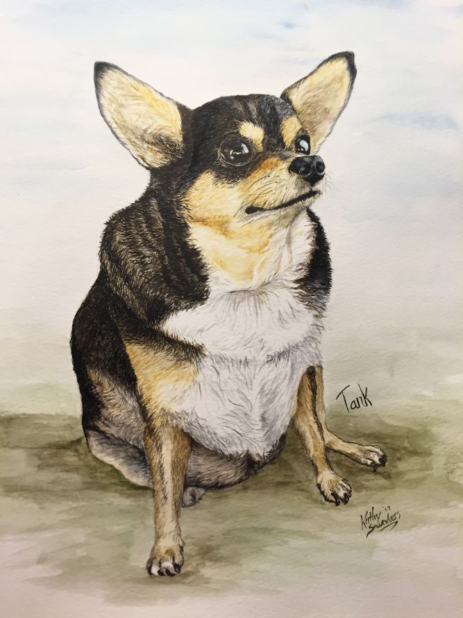 tank-pet-portrait.jpg